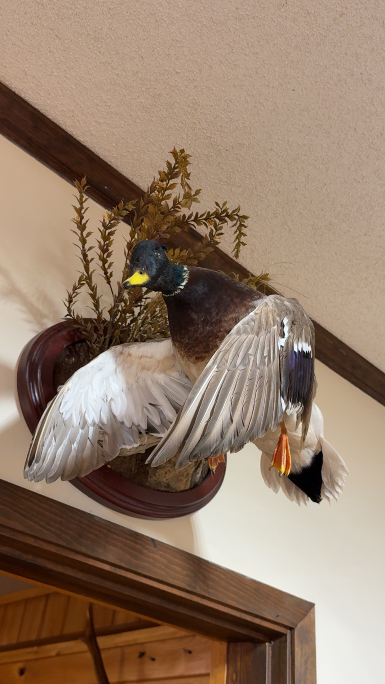 Test Property No Actual Availability 3